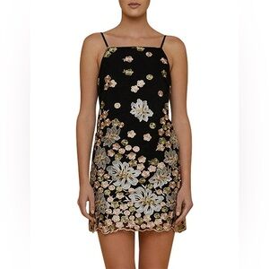 David Jones Marrakech Backstage Dress Embroidery, Woman’s X-Small